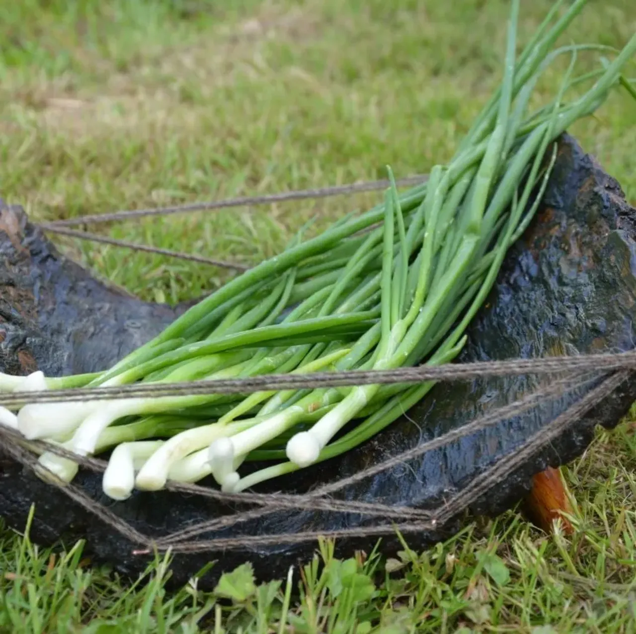 Для ценителей композиций на обеденном столе. Кора ореха, закреплённая эпоксидной смолой, которая подчеркивает рельеф и красоту дерева, а также увеличивает срок службы изделия. 

Материал - Орех
Цена - 2 000₽ 

@rimsha_wood
#r_w #rimsha_wood
#мебельназаказ #мебельиздерева  #посудаиздерева