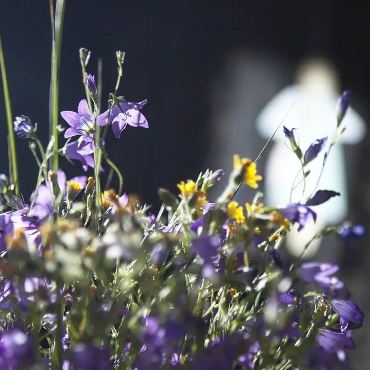 Акцент на руки
-
#golivebraclet#golivearings #акцент #аксессуар #серебро #украшенияручнойработымосква #москваювелирка