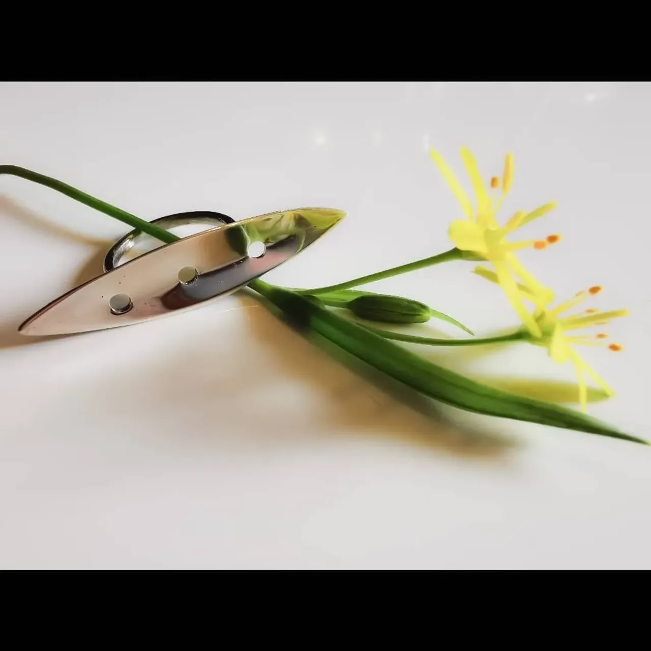 Акцент на руки.
Крупное агрессивное кольцо и нежное фаланговое колечко.
Серебро. Ручная работа
-
#golivering #2020#лето#кольцо#серебро#ручнаяработа #студияювелирмосква #украшение #аксессуар#актуально#стиль