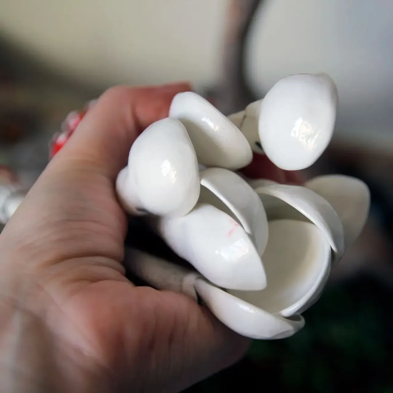 Грибные ложки снова есть =)
Круто смотрятся в сахарницах и солонках.

🌿850р\шт
Пишите мне, и я пришлю фото тех, что в наличии.
Размеры, формы - все разные, т к лепятся руками и никак иначе 🙂

#ceramic #ceramics #ceramica #ceramiclove #handmade #pottery #ceramicart #potterylove #clayworks #handmadeceramic #instapottery #handcrafted #handcraft #керамика #лепкаизглины #красиваяпосуда #посудадлядома #керамикадлядома #мухомор #гриб #тихаяохота #ложка #керамическаяложка #лес #природа