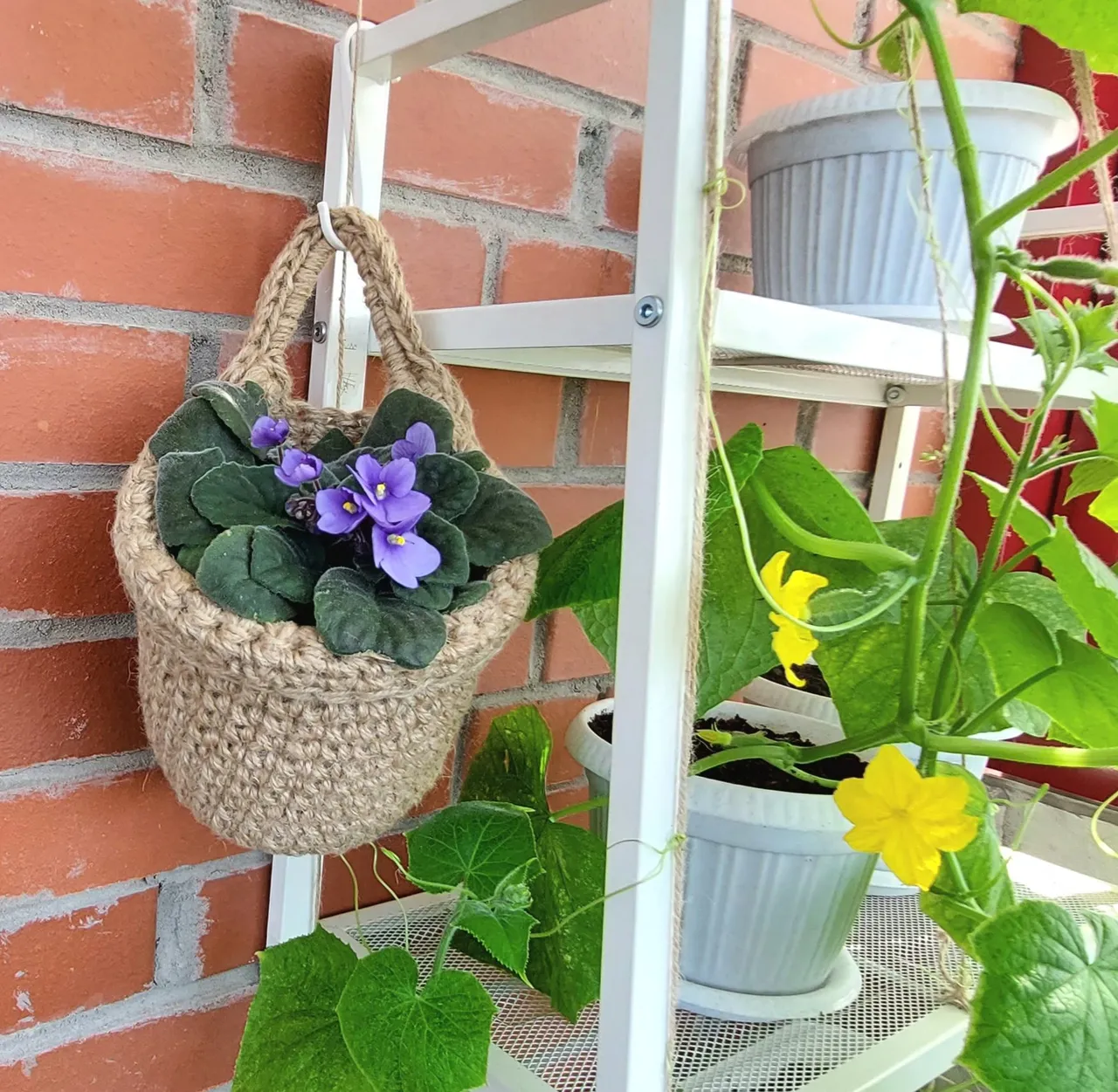 Plant hanger