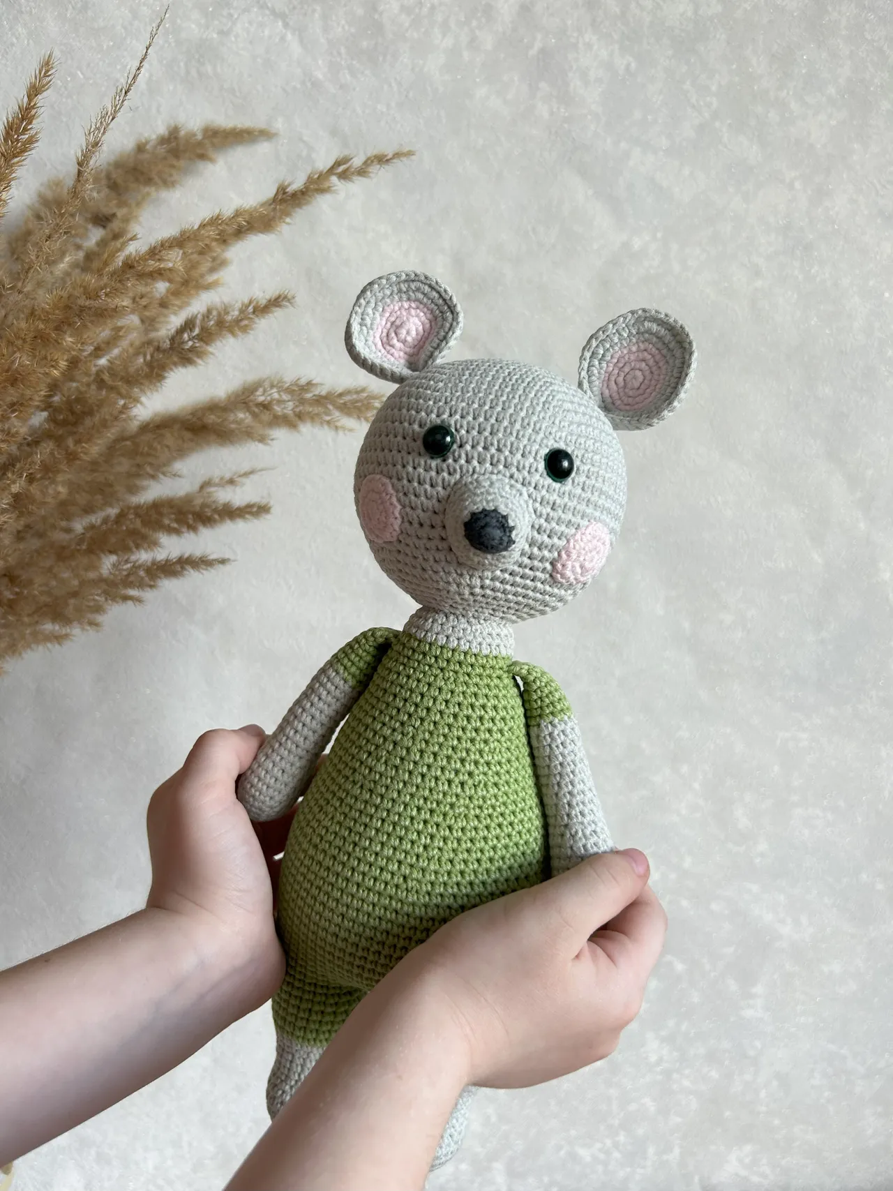 A cute mouse that children love so much