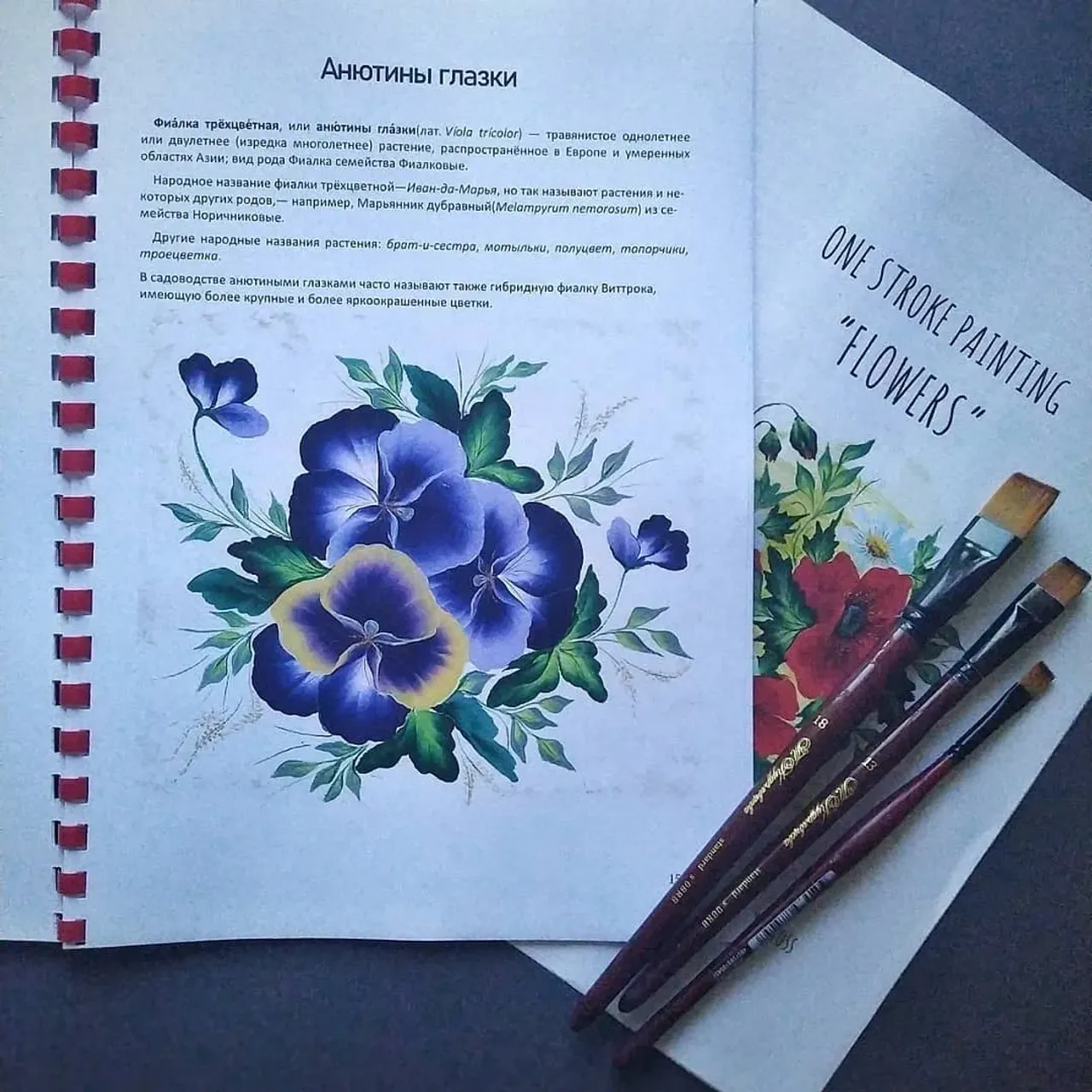 Отдых закончился, и я с новыми силами возвращаюсь к работе.
⠀
Наконец, могу представить вашему вниманию мою книгу, в которой я собрала различные варианты и схемы, наиболее часто встречающихся и наиболее часто рисуемых цветов.
⠀
Книга рассчитана для тех, кто уже знаком с техникой двойного мазка.
⠀
Ну а для тех, кто хочет научиться этой технике, совсем скоро в @marina_vitkovska_school пройдет интенсив по этой росписи. 
Следите за анонсами...
⠀
Книга представлена на двух языках: английский, русский. 26 стр
PDF формат.

Цена: 270 грн
⠀
Dear friends, let me introduce my new book about one stroke painting.
⠀
I make it for helping people who know the basic elements of this painting.

In this book I've collected schemes of the most common and most frequently drawn flowers.
⠀
It's in PDF, 24 pages.

Price: 11 $

#onestrokeflowers #onestroke #onestrokebook #onestrokebooks #onestrokepaintingclass #onestrokeart #onestrokepainting #двойноймазок #росписьпредметов #росписьдвойногомазка #росписьпокоже #росписьшкатулки #книгапоросписи