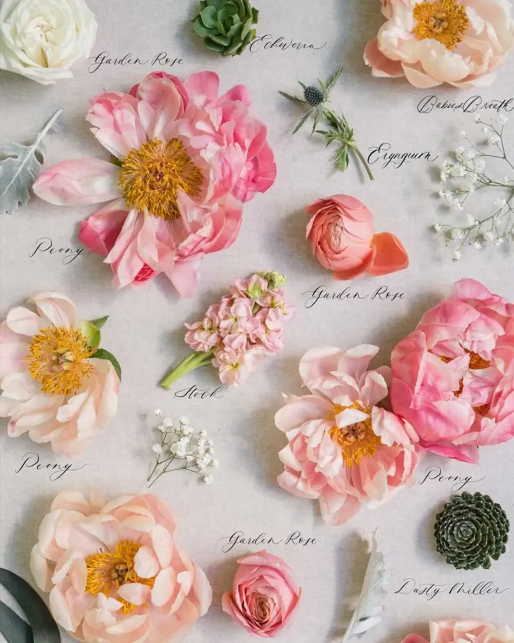 BIG SET OF WEDDING FLOWERS! ๐๐ธ
Save this post in your wedding inspiration because these flowers are one of the most used flowers by wedding florists! We love this way to preserve wedding bouquet for years!!
#weddingfloral #bouquetpreservation #stylempretty #smpwedding #bridalbouquets #bridalbouquetideas #weddingflowerideas #flowerish #flowerlike #flowermakesmehappy #flowervibes #floweraddicted #weddingflowerideas #weddingflowersdecor #weddingflowersinspiration #weddingflowersbouquet #flowerpressing #flowerpreservation #weddingflatlay #weddingphotographyideas #flowermania #hkweddingdecoration #bridaldecor #bohoweddingdecor #peoniesbouquet #girlbosshustle