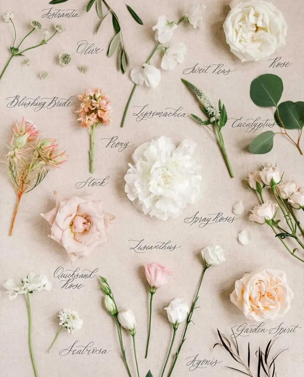 BIG SET OF WEDDING FLOWERS! ๐๐ธ
Save this post in your wedding inspiration because these flowers are one of the most used flowers by wedding florists! We love this way to preserve wedding bouquet for years!!
#weddingfloral #bouquetpreservation #stylempretty #smpwedding #bridalbouquets #bridalbouquetideas #weddingflowerideas #flowerish #flowerlike #flowermakesmehappy #flowervibes #floweraddicted #weddingflowerideas #weddingflowersdecor #weddingflowersinspiration #weddingflowersbouquet #flowerpressing #flowerpreservation #weddingflatlay #weddingphotographyideas #flowermania #hkweddingdecoration #bridaldecor #bohoweddingdecor #peoniesbouquet #girlbosshustle