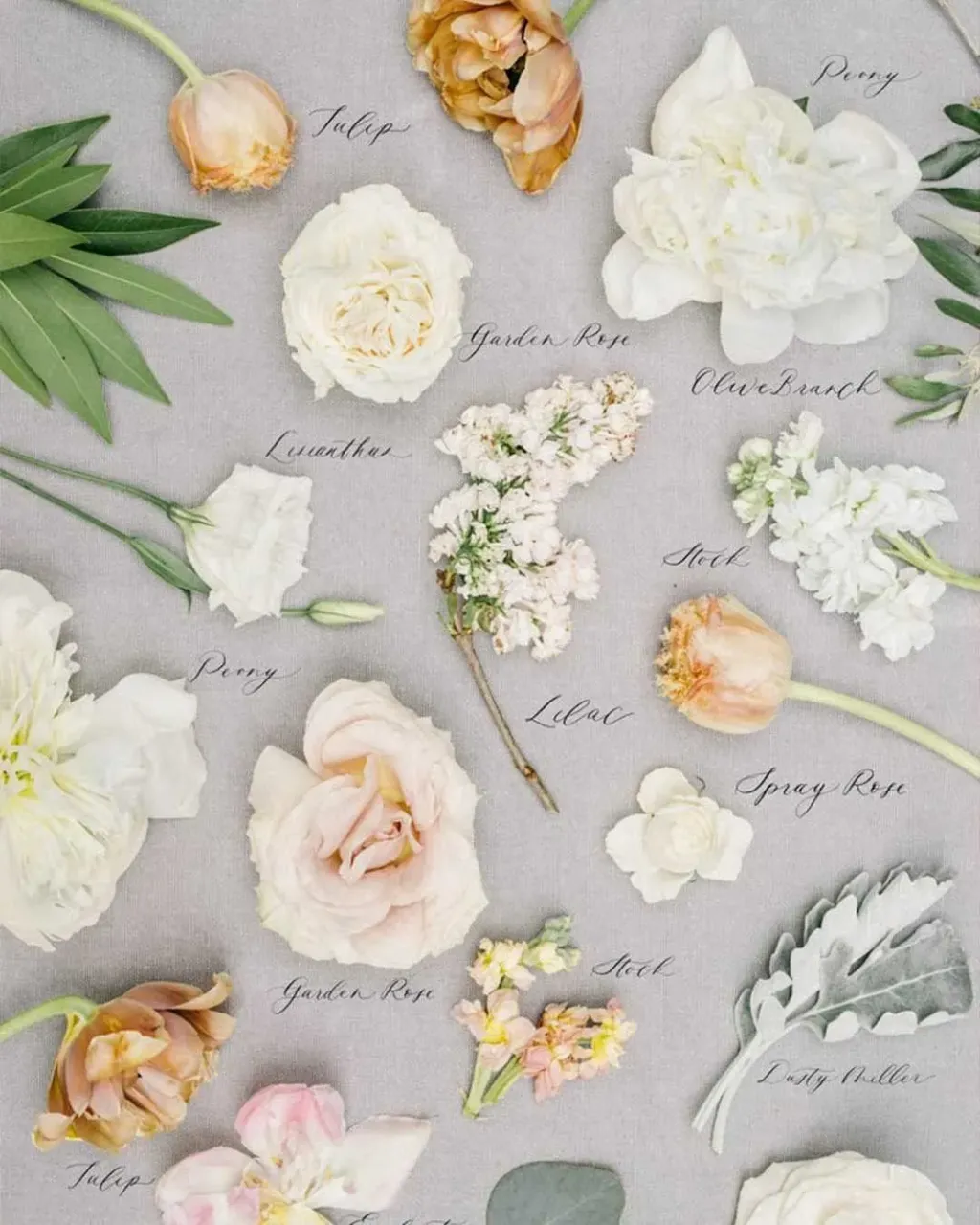 BIG SET OF WEDDING FLOWERS! ๐๐ธ
Save this post in your wedding inspiration because these flowers are one of the most used flowers by wedding florists! We love this way to preserve wedding bouquet for years!!
#weddingfloral #bouquetpreservation #stylempretty #smpwedding #bridalbouquets #bridalbouquetideas #weddingflowerideas #flowerish #flowerlike #flowermakesmehappy #flowervibes #floweraddicted #weddingflowerideas #weddingflowersdecor #weddingflowersinspiration #weddingflowersbouquet #flowerpressing #flowerpreservation #weddingflatlay #weddingphotographyideas #flowermania #hkweddingdecoration #bridaldecor #bohoweddingdecor #peoniesbouquet #girlbosshustle