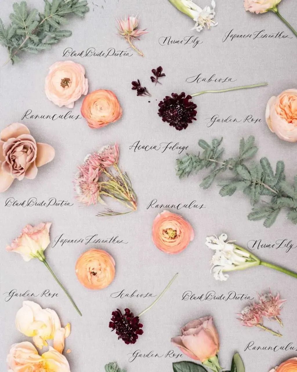 BIG SET OF WEDDING FLOWERS! ๐๐ธ
Save this post in your wedding inspiration because these flowers are one of the most used flowers by wedding florists! We love this way to preserve wedding bouquet for years!!
#weddingfloral #bouquetpreservation #stylempretty #smpwedding #bridalbouquets #bridalbouquetideas #weddingflowerideas #flowerish #flowerlike #flowermakesmehappy #flowervibes #floweraddicted #weddingflowerideas #weddingflowersdecor #weddingflowersinspiration #weddingflowersbouquet #flowerpressing #flowerpreservation #weddingflatlay #weddingphotographyideas #flowermania #hkweddingdecoration #bridaldecor #bohoweddingdecor #peoniesbouquet #girlbosshustle