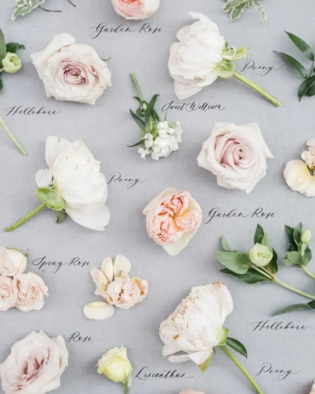BIG SET OF WEDDING FLOWERS! ๐๐ธ
Save this post in your wedding inspiration because these flowers are one of the most used flowers by wedding florists! We love this way to preserve wedding bouquet for years!!
#weddingfloral #bouquetpreservation #stylempretty #smpwedding #bridalbouquets #bridalbouquetideas #weddingflowerideas #flowerish #flowerlike #flowermakesmehappy #flowervibes #floweraddicted #weddingflowerideas #weddingflowersdecor #weddingflowersinspiration #weddingflowersbouquet #flowerpressing #flowerpreservation #weddingflatlay #weddingphotographyideas #flowermania #hkweddingdecoration #bridaldecor #bohoweddingdecor #peoniesbouquet #girlbosshustle