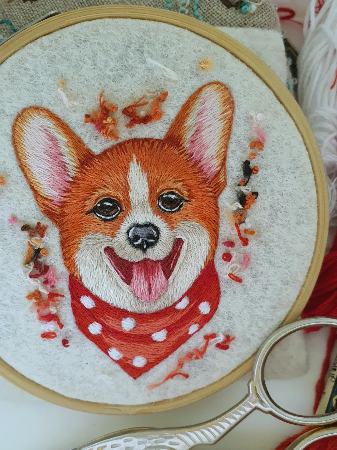 A cute corgi puppy is waiting for its new owner.