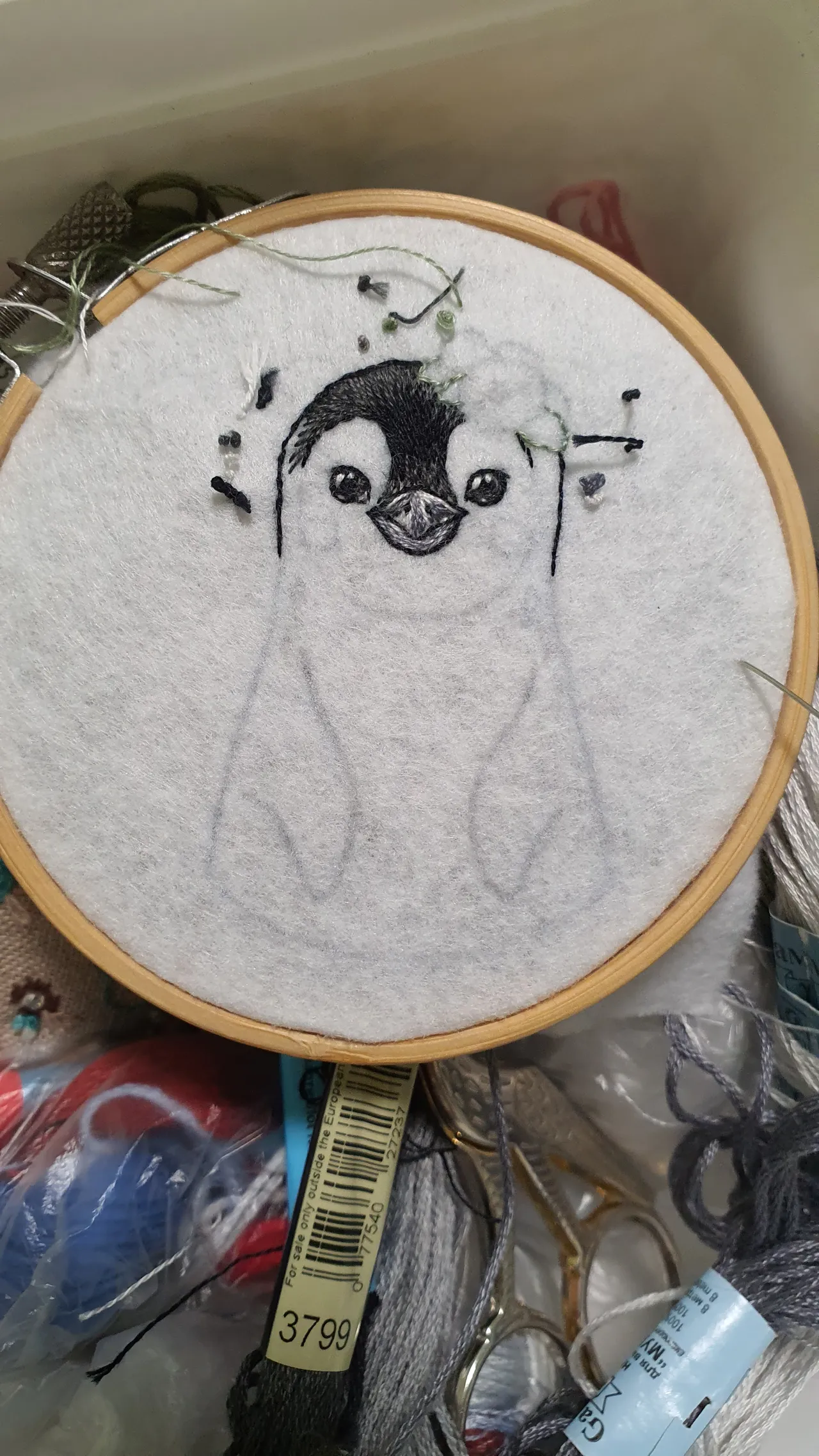 Sweet girl Penguin has already found her owner.