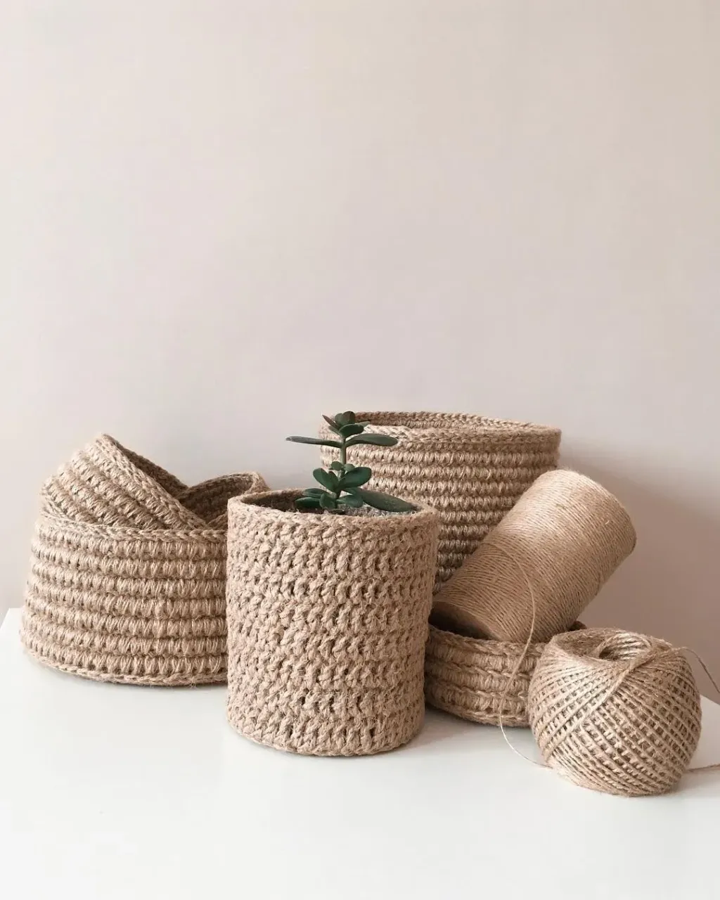 У меня пока мало растений и все они только принялись расти, но я собираюсь устроить дома оранжерею😁
Мне не нужны цветущие растения, типа фиалок, нет, я хочу большие деревца с листьями. Побольше зелени в доме. Очень нравится растение фикус, но почитав немного суеверия на сей счёт, я отказалась от идеи ставить его дома. Так, знаете ли, на всякий случай))) Считается, что он пробуждает в человеке негативные эмоции и чувства и особенно плохо влияет на мужчин. В общем решила, что не хочу остаться без мужа😅 
Кстати, если у вас есть комнатные растения, делитесь названиями или фотками в Директ, буду признательна🙏
А на фото ещё одна идея применения корзин в интерьере в виде кашпо🌱

#джут#интерьерныекорзины#корзиныизджута#корзины#ручнаяработа#нальчик#авоська#авоськаизджута#сумкаизджута#корзинаизджута#лето#корзинанальчик#ручнаяработанальчик