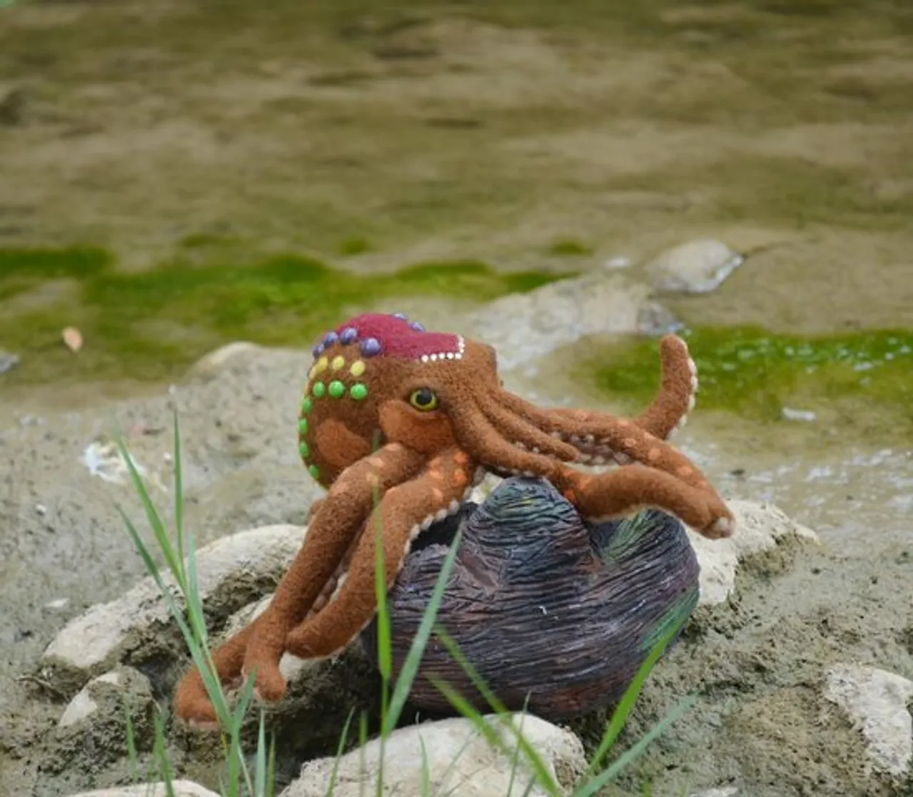 Queen of the Krakens.