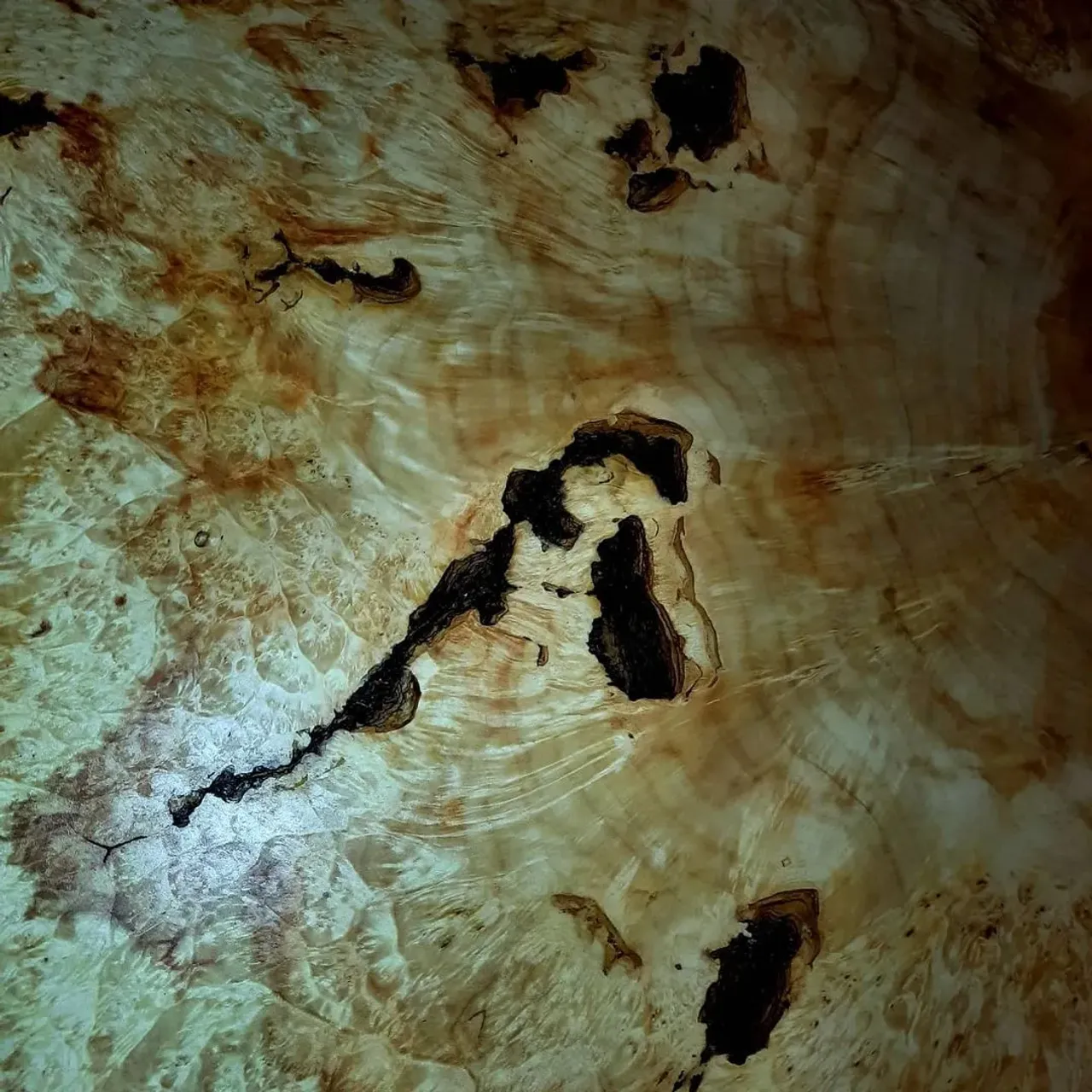 ПАННО НА СТЕНУ ИЗ СПИЛА КАПА КОРНЯ КЛЕНА 90СМ,ЕСТЬ РАЗНЫЕ ФОРМЫ И РАЗМЕРЫ
#masterkoren52 #подарок #спилы #столы #стулья #мозаика #массив #мебель #можевельник #дерево #дизайн #дом #дуб #кап #круто #корнепластика #рустика #часы#архитектура#нижнийновгород#эксклюзив#интерьер #люстра#корень#капакорень#слэбы#панно#мебельлофт#деревяннаямозаика