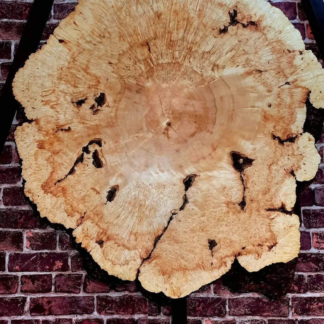 ЕСЛИ ВЫ ИЩЕТЕ ЧТО ТО ЭКСКЛЮЗИВНОЕ,ТО ЧТО ПРИКОВЫВАЕТ ВЗГЛЯД И ДЕЛАЕТ АКЦЕНТ В ЛЮБОМ ИНТЕРЬЕРЕ,ТО ЧТО ХОЧЕТСЯ ТРОГАТЬ И РАССМАТРИВАТЬ,ТО ЭТО ТО ЧТО ВАМ НУЖНО..КАПА КОРЕНЬ КЛЕНА ДИАМЕТРОМ 90 СМ,С НЕВЕРОЯТНО КРАСИВОЙ ТЕКСТУРОЙ,С ЗОЛОТЫМИ ПЕРЕЛИВАМИ И ЗАМЫСЛОВАТЫМИ СПЛЕТЕНИЯМИ ТЕКСТУРЫ НЕРАСКРЫВШИХСЯ СПЯЩИХ ПОЧЕК....
💥💥💥💥💥
#masterkoren52 #подарок #спилы #столы #стулья #мозаика #массив #мебель #можевельник #дерево #дизайн #дом #дуб #кап #круто #корнепластика #рустика #часы#архитектура#нижнийновгород#эксклюзив#интерьер #люстра#корень#капакорень#слэбы#панно#мебельлофт#деревяннаямозаика