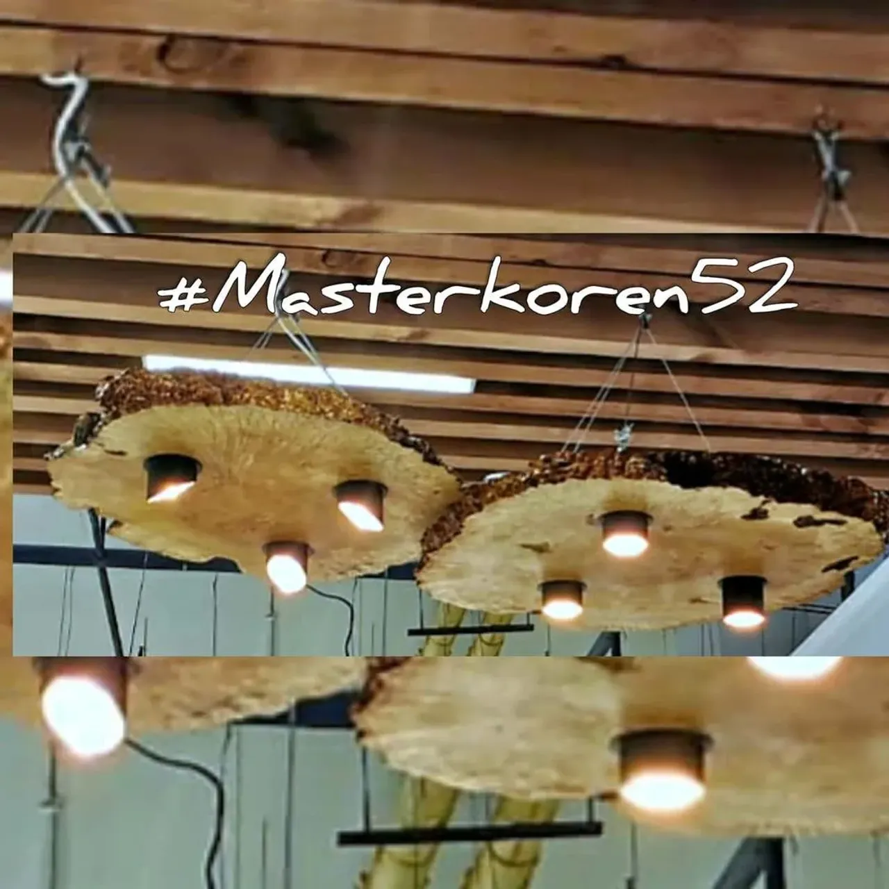 СВЕТИЛЬНИКИ,ЛЮСТРЫ,ИЗ ИЗ СПИЛОВ,СЛЭБОВ,РАЗНЫХ ПОРОД ДЕРЕВЬЕВ,ФОРМ И РАЗМЕРОВ,В НАЛИЧИИ И НА ЗАКАЗ....💫💫💫💫
#masterkoren52 #подарок #спилы #столы #стулья #мозаика #массив #мебель #можевельник #дерево #дизайн #дом #дуб #кап #круто #корнепластика #рустика #часы#архитектура#нижнийновгород#эксклюзив#интерьер #люстра#корень#капакорень#слэбы#панно#мебельлофт#деревяннаямозаика