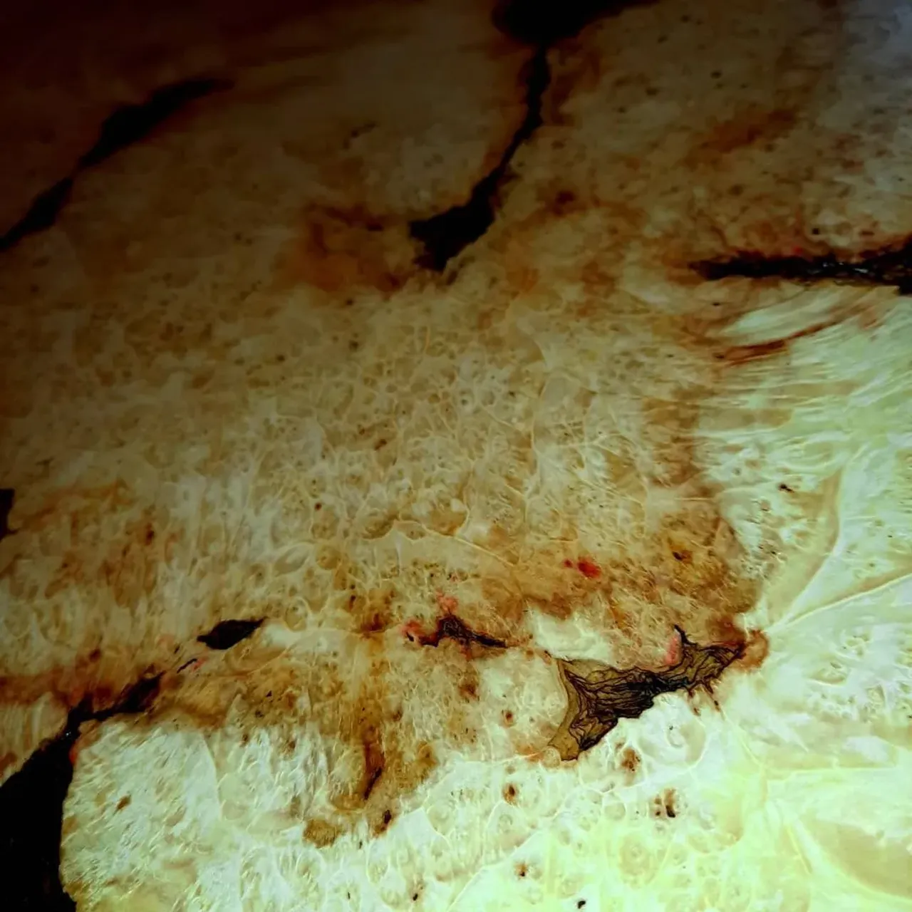 ЕСЛИ ВЫ ИЩЕТЕ ЧТО ТО ЭКСКЛЮЗИВНОЕ,ТО ЧТО ПРИКОВЫВАЕТ ВЗГЛЯД И ДЕЛАЕТ АКЦЕНТ В ЛЮБОМ ИНТЕРЬЕРЕ,ТО ЧТО ХОЧЕТСЯ ТРОГАТЬ И РАССМАТРИВАТЬ,ТО ЭТО ТО ЧТО ВАМ НУЖНО..КАПА КОРЕНЬ КЛЕНА ДИАМЕТРОМ 90 СМ,С НЕВЕРОЯТНО КРАСИВОЙ ТЕКСТУРОЙ,С ЗОЛОТЫМИ ПЕРЕЛИВАМИ И ЗАМЫСЛОВАТЫМИ СПЛЕТЕНИЯМИ ТЕКСТУРЫ НЕРАСКРЫВШИХСЯ СПЯЩИХ ПОЧЕК....
💥💥💥💥💥
#masterkoren52 #подарок #спилы #столы #стулья #мозаика #массив #мебель #можевельник #дерево #дизайн #дом #дуб #кап #круто #корнепластика #рустика #часы#архитектура#нижнийновгород#эксклюзив#интерьер #люстра#корень#капакорень#слэбы#панно#мебельлофт#деревяннаямозаика