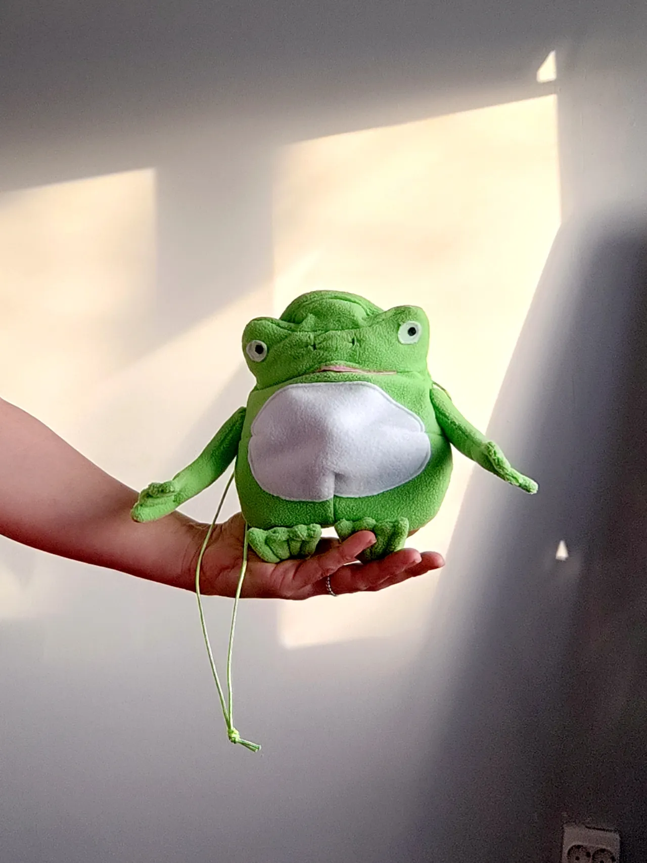 The new funny chalk bag frog