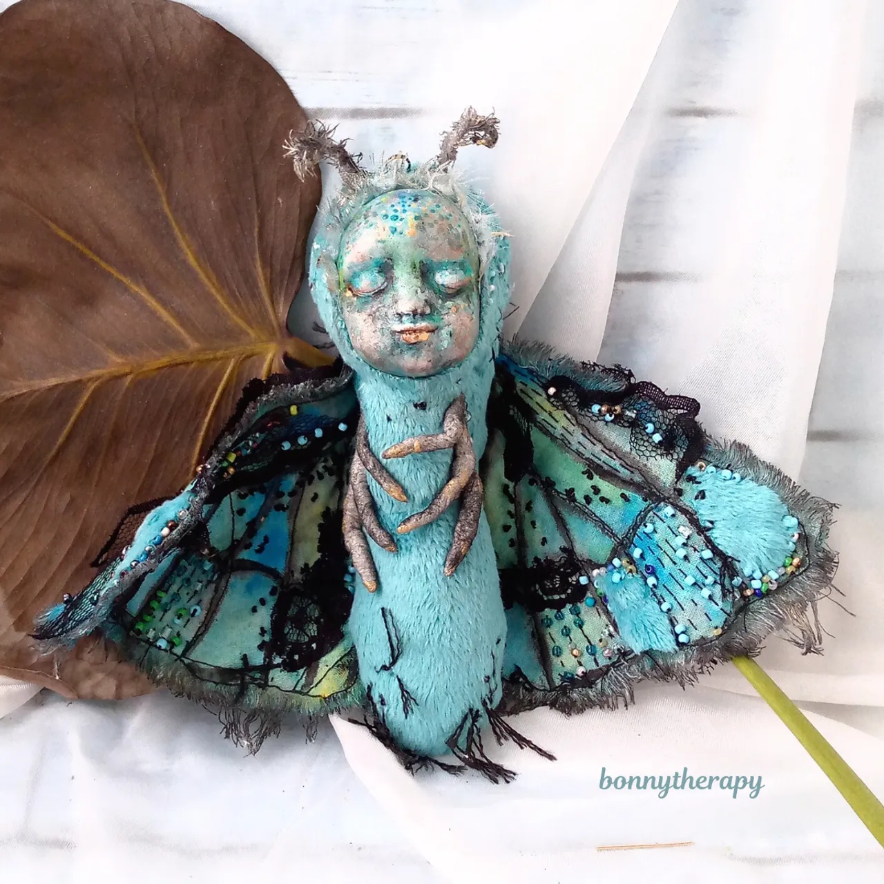 Here is such a handsome butterfly.