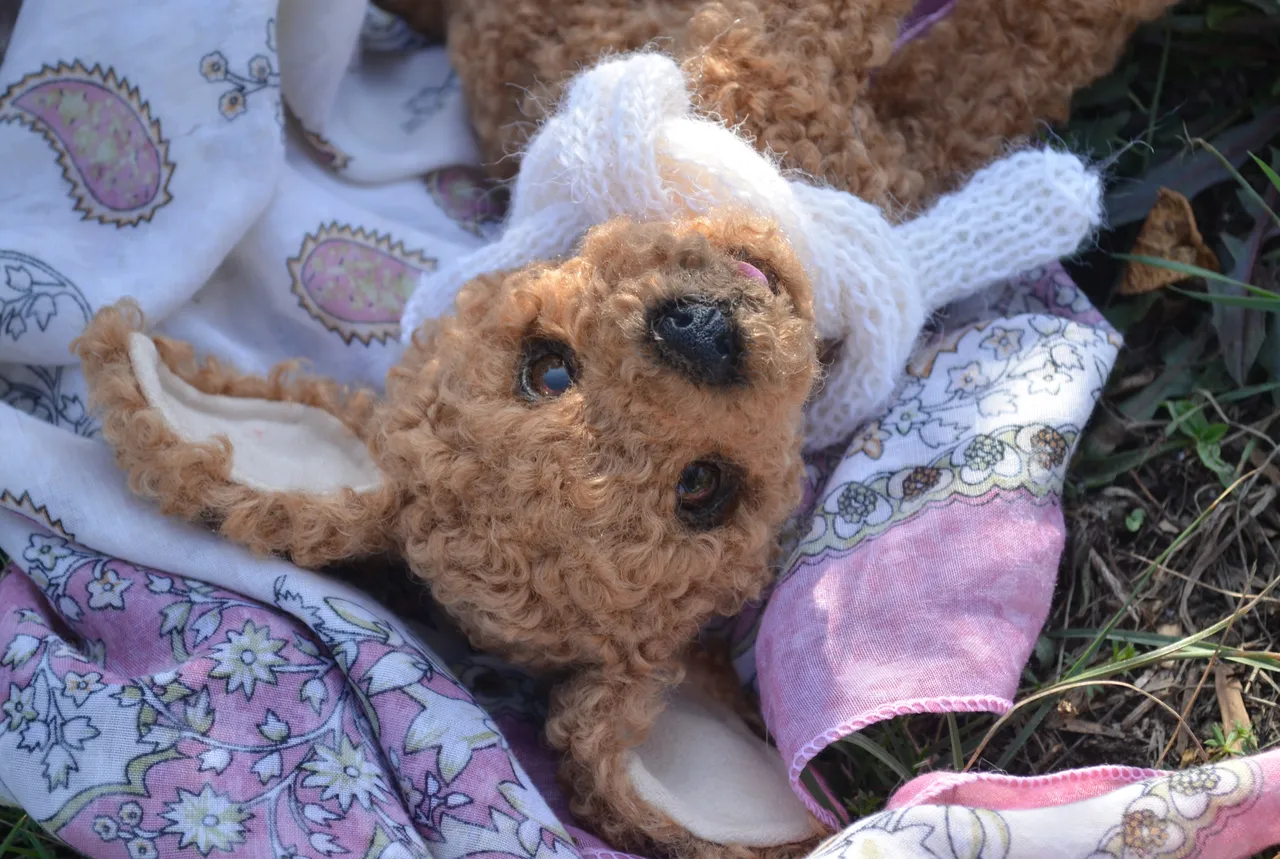 Poodle.Realistic toy.