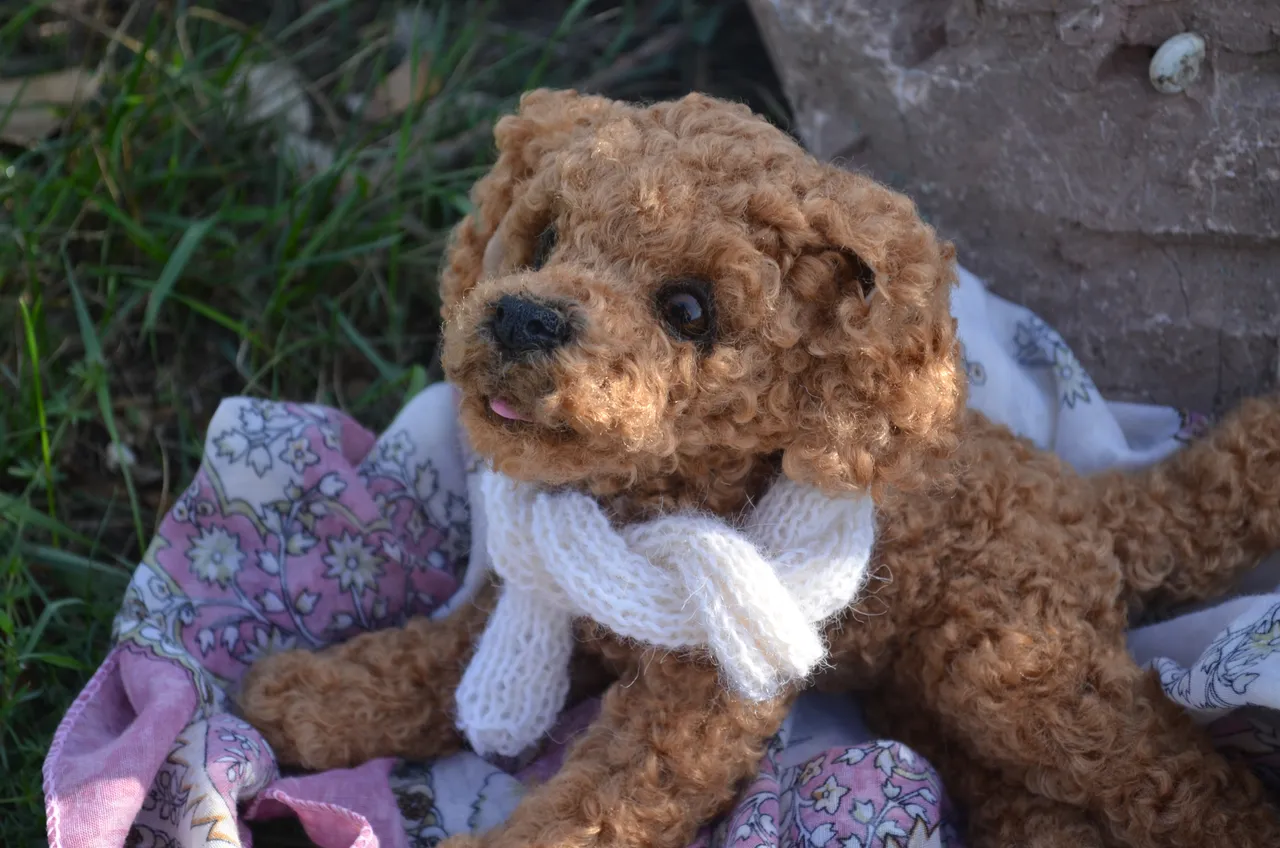 Poodle.Realistic toy.