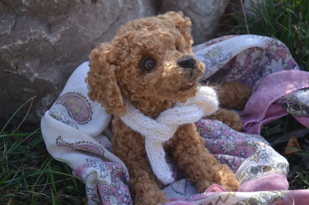 Poodle.Realistic toy.