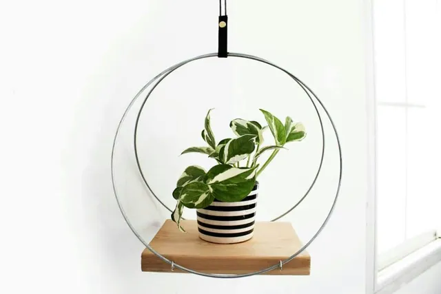 I have to admit, I'm addicted to PLANTS! These days, I can't think of nothing else but PLANTS! 
Are you a plant lover?

A little PEEK at another product I'm working on. FOLLOW US on our following posts, we'll give you some tips on how to grow indoor plants🌿🌱
.
.
.
.
.
.
#homedecor #interiordesigntrends #interiordesigning 
#planterior #plantholder #plantstyle #apartmenttherapy
#hangingplanter #homestyling #ethnicadesigns #ethnica_designs #interior_and_living #planter #urbanjungle
#bohemianhome #plantlover #homedecor 
#plantaddict #indoorjungle #houseplantsofinstagram