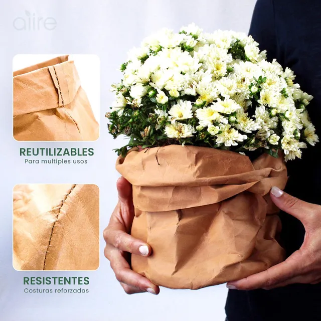 Dentro de los múltiples usos que tienen las cestas de papel kraft, uno de los preferidos es como cubremacetas. En esta foto, las manos de Sofia (mi esposa) hicieron de modelo para mostrar nuestra nueva plantita 😊🌱 . Aiire Co. 
#papelkraft #cubremacetas #macetasoriginales #macetaspersonalizadas #macetasdecoradas #maceterosoriginales #maceterosreciclados #cestasdecorativas #cestasmultiuso #cestasorganizadoras