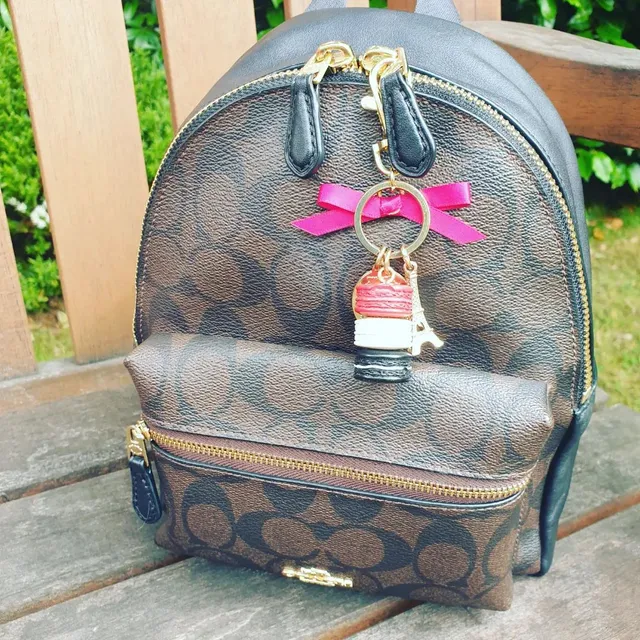 Another summer day. Feeling very lucky here in Edinburgh. I have attached the @maisonladuree @ladureeuk and LBH insert is making the bag interior less dark. I have tries to organise ifnfor this photo, but it is normally a mess. Anyone else loving backpacks recently? #coach #coachbackpack #coachcharlie #laduree #backpack #lvaddict #bagorganizer #bagorganiser #madeinuk