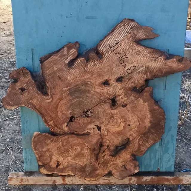 Yeni zeytin kök dilimleri.
.......
#Wood
#Kütük
#Zeytin
#epoxywood
#sanat
#woodenbirdhouse