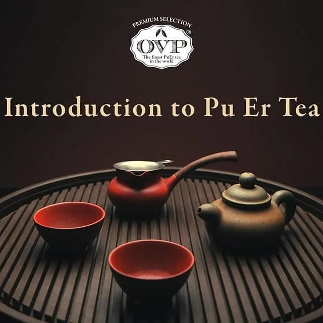 Dear fans, do kindly drop us a direct message should you be interested in attending our Tea Workshop tomorrow at 3pm! #TeaWorkshop #PuErh #Puer #Puerhtea #Puertea #Tea #Singapore #AwardWinning