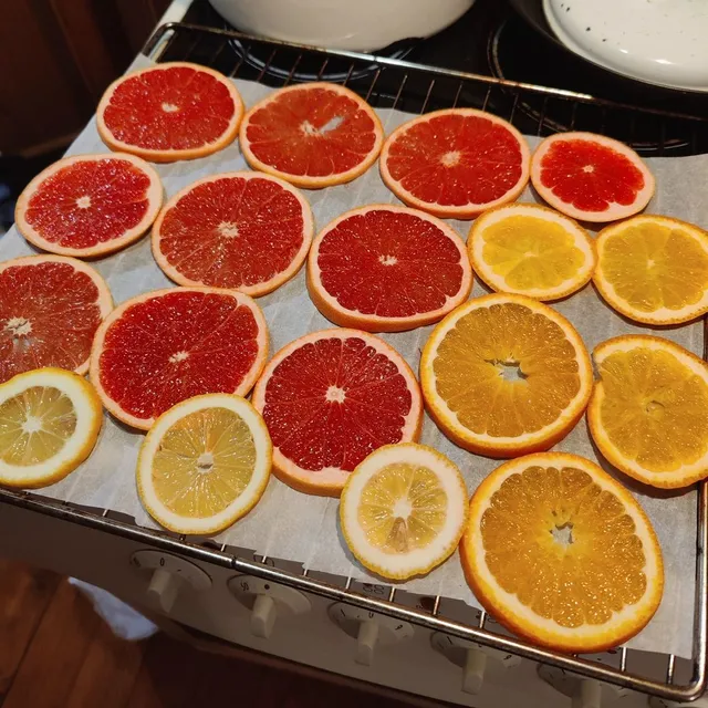 Perfect time to preserve some dried citruses for the whole year of aromatic tea and cozy decorations ✨🍊

#oranges #driedfruits #teablends #autumn