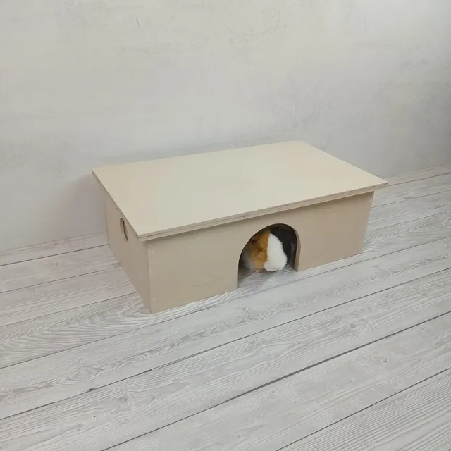 A kuku 😍💙🤩
#ratpockethammock
#rathammock
#sugarglidercage
#guineapighouse
#domekdlaszynszyli
#domekdlaszczurkow
#domekdlaswinkimorskiej
#hamakdlazwierzaka
#drewnianyhamak
#drewnianydomek