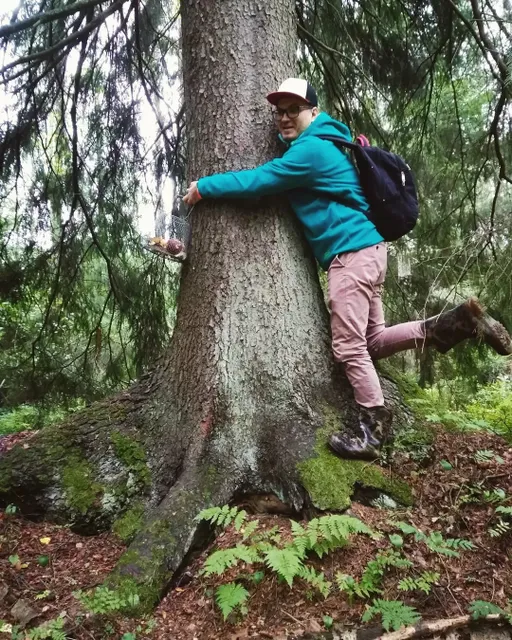 редкие минуты отдохновения;)
#лето#загрибами#грибноеместо #ляпотамакролепиота#семействоболетовые