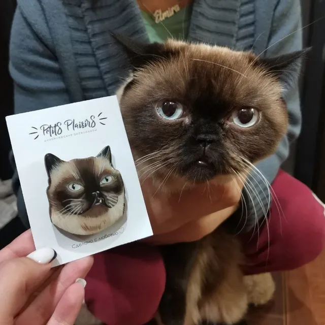 Великий и непревзойденный Олег! 🐈‍⬛

+1 в копилочку счастливых обладателей мини-копий своих животных)