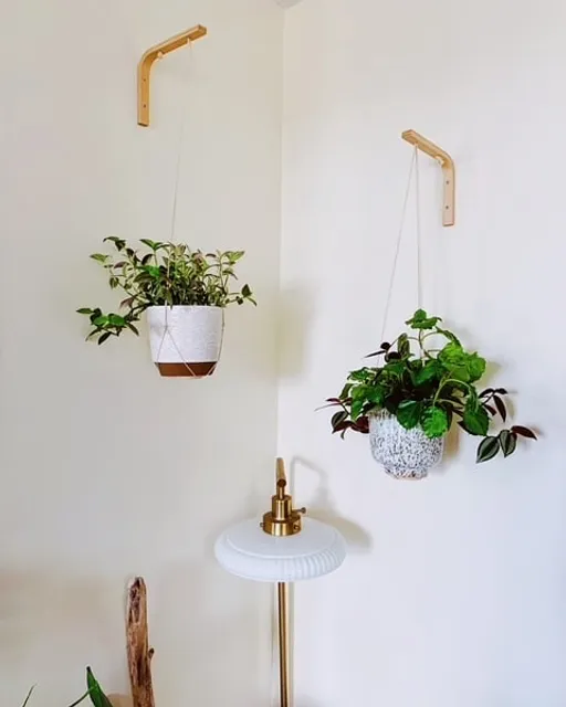 We love this photo of our PLANT HANGERS from another HAPPY customer @jeremysizemore1 which made this corner look so blooming and alive 🌿🌱🍀

If you own any of our designs please share and tag with @ethnica_designs so we'll be able to find you.
.
.
.
.
.
.
#homedecortips #interiordesigntrends #interiordesigning 
#planterior #plantholder #plantstyle #apartmenttherapy
#hangingplanter #homestyling #ethnicadesigns #ethnica_designs #interior_and_living #planter #urbanjungle #scandinaviandecoration
#bohemianhome #omysa #plantlover #homedecor #handmade_with_love #etsyseller