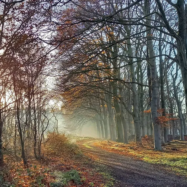 Veluwe