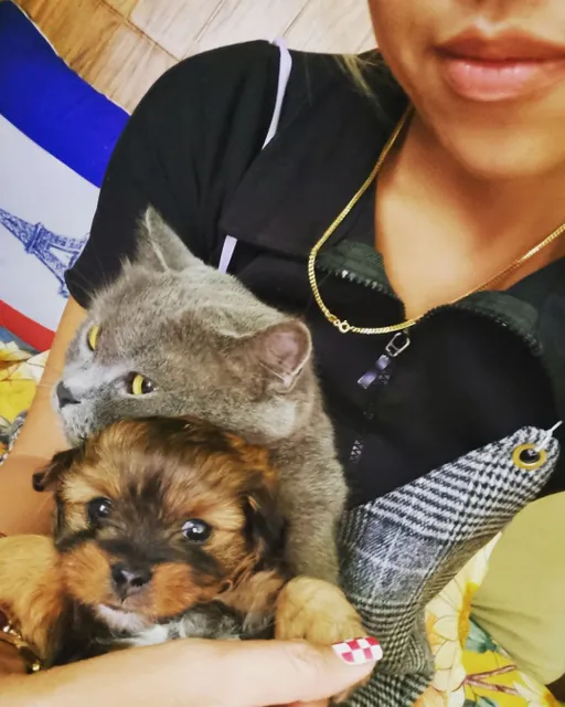 Today we adopt 1 little puppy with problem in his legs. Hopefully we can help him grow up healthy and happy !

Marry Chirstmas to everybody and the new member in Bellaha team 🥰 He didnt have name yet , could anybody help him for a name 🥰
#cat #dog #tailors