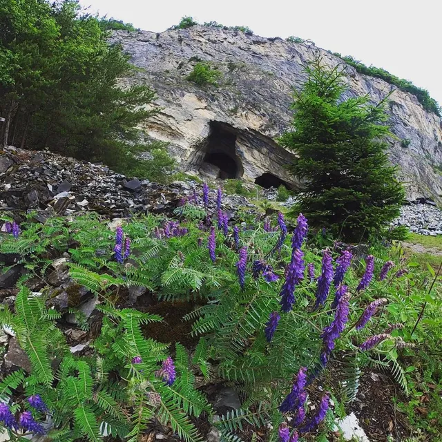 Continuez de faire ce que vous aimez ! Le reste est secondaire #dare2dreambig #mountain #alpessuisses #saillon #carrieredemarbre #marbre #grotte #mineabandoned #mine #speleology
