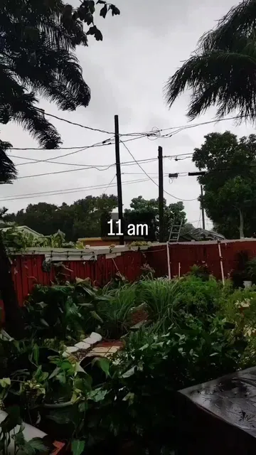 Hurricane Ian South St Petersburg, FL. Still seeing more things we should've taken down🙄 Hunkered down. Still have electricity😊