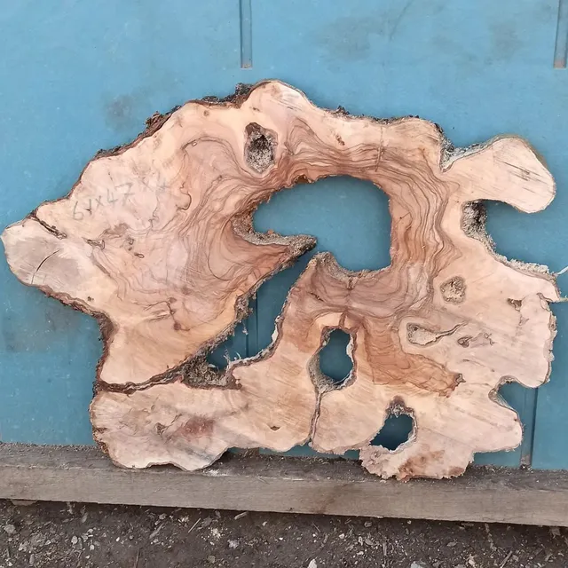 Yeni kesim epoksilik zeytin dilimleri.
#epoxytable 
#zeytinağacıürünler 
#ahşapev 
#ahşapdekor