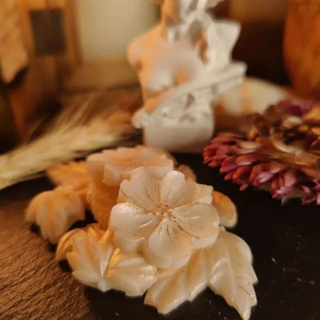 Excited to share the latest addition to my #etsy shop: Flowers and leaves shaped wax melts Sanguine’s Rose, Velvet LeChance; or Altar in the Woods
#skyrimscents #skyrim #oblivion #fragrance #essentialoils https://etsy.me/31hR3Ma