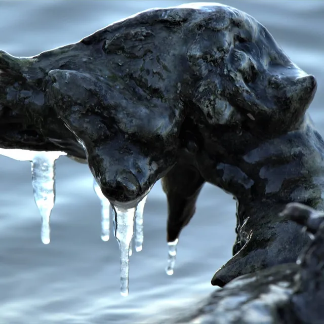 #photography #photoshoot #fotografie 
#art #iceart