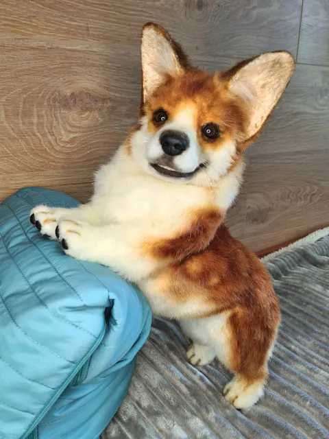 Stuffed corgi