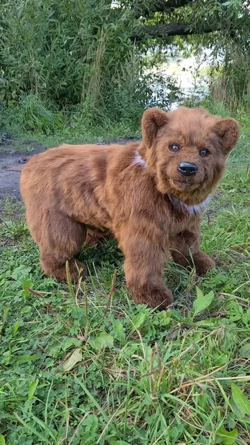 Stuffed bear
