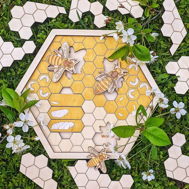 The opportunity to look into a real hive is very rare, and not everyone has the desire to do so.

 But with our beehive puzzle you can always touch the world of furry workers through the game.

 Look into the hive and see how it works.

 1. Get to know the members of the bee family, find out what they are called.

 2. Study the life cycle of a bee.

 3. Assemble the top puzzle, thus closing the hive.