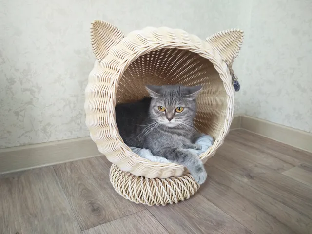 Wicker cat bed Cat house Wicker cat basket #catbed #catbasket