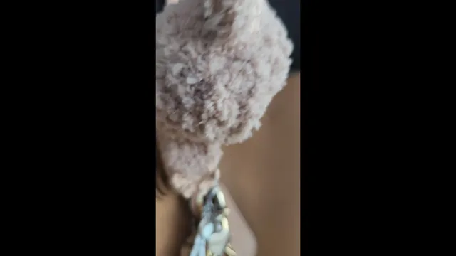 Cute Labubu Bag Charm