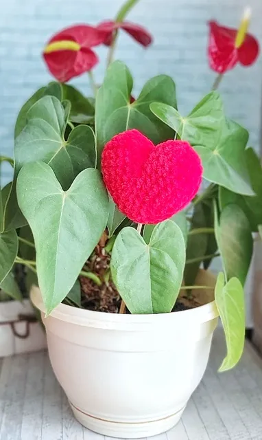 https://ballwool.com/products/46860 
Crochet pattern heart 💕