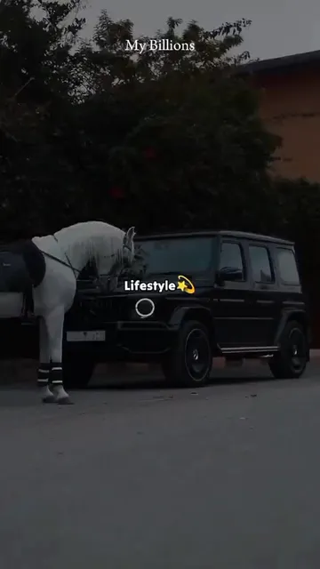 Luxurious lifestyle 