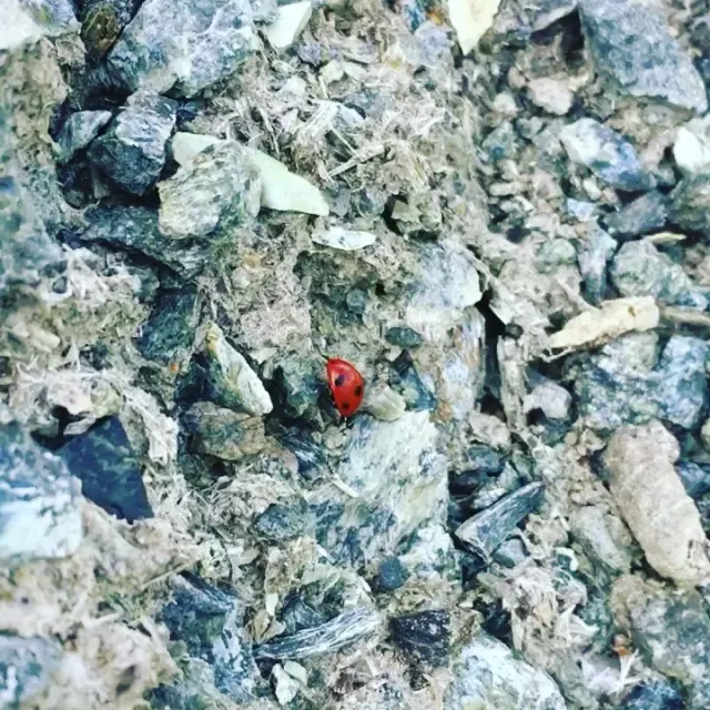 Welcome to True Stone ⛰ .

#truestone #натуральныйкамень #раковиныизкамня #валуны #мастерская #рукиизплеч #яшма #лиственит #оникс #змеевик #дизайнерытюмень #производствоизкамня #truestone72 #каменьтюмень #изсибирислюбовью #нехуевыйкамень #дизайнинтерьера #дизайнтюмень #раковинаизгранита #раковинаизмрамора #чашиназаказ #каменныечаши #чаши